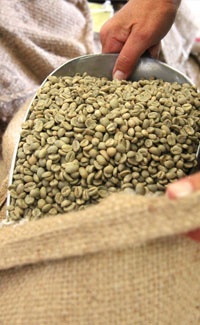 Rohkaffee neu Emil Reimann